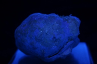 Calcite from Septaria - Valle Staffora Italy